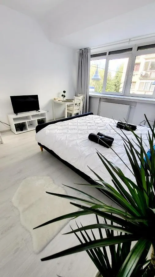 Victoriei Central Studio Apartment Bucharest