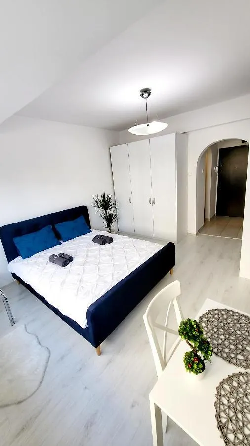 דירות בוקרשט Victoriei Central Studio